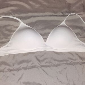 Fruit of the loom size 36